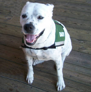 Daisy-GABESTEWART.JPG