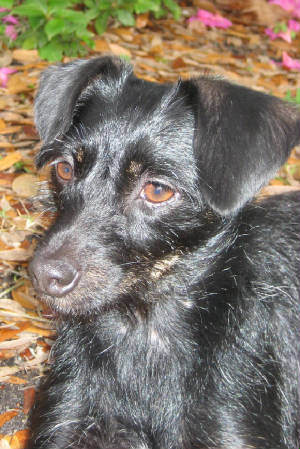 FLASHEY-CARMEL-ADAMS.jpg