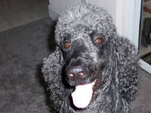 Jaxson-RIANNEOREILLY.JPG